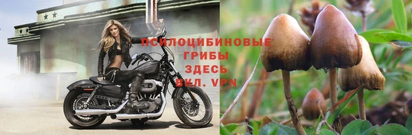mdpv Балабаново