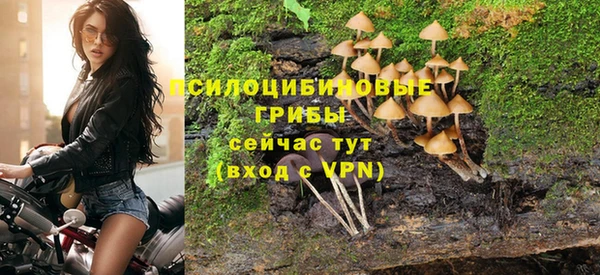 гидропоника Балахна