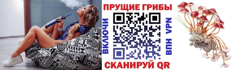 Галлюциногенные грибы мицелий  Коряжма 